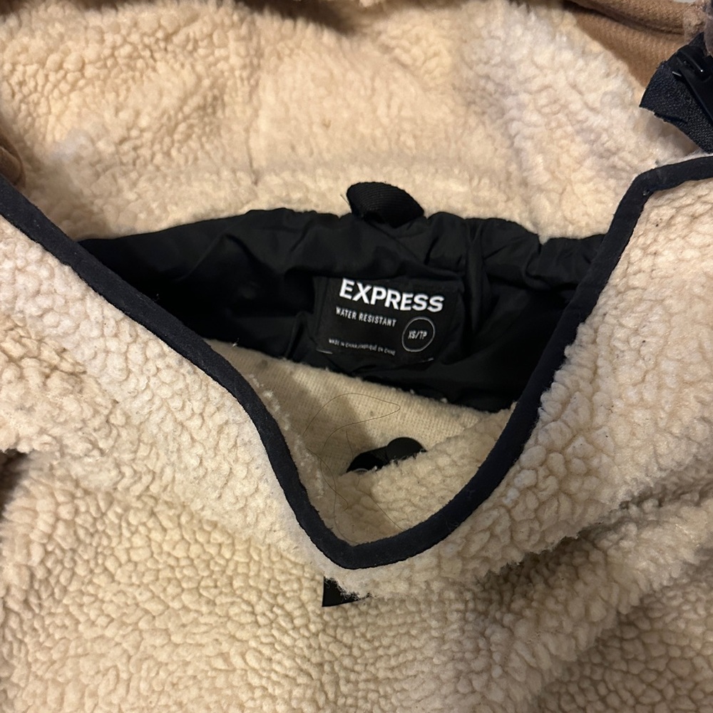 Express Tan Performance Jacket - Picture 3 of 3